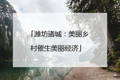 潍坊诸城：美丽乡村催生美丽经济