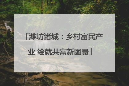 潍坊诸城：乡村富民产业 绘就共富新图景