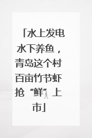 水上发电水下养鱼，青岛这个村百亩竹节虾抢“鲜”上市