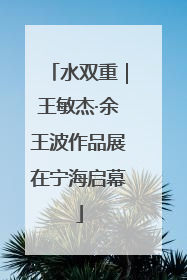 水双重｜王敏杰·余王波作品展在宁海启幕
