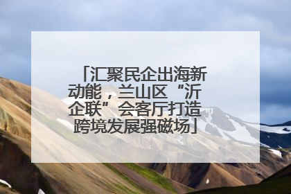 汇聚民企出海新动能，兰山区“沂企联”会客厅打造跨境发展强磁场