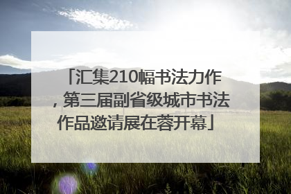 汇集210幅书法力作，第三届副省级城市书法作品邀请展在蓉开幕
