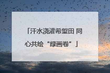 汗水浇灌希望田 同心共绘“绿画卷”
