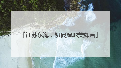 江苏东海：初夏湿地美如画