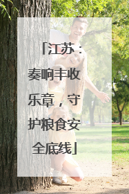 江苏：奏响丰收乐章，守护粮食安全底线