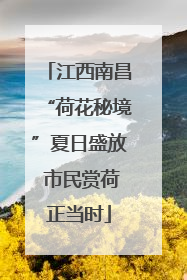 江西南昌“荷花秘境”夏日盛放 市民赏荷正当时