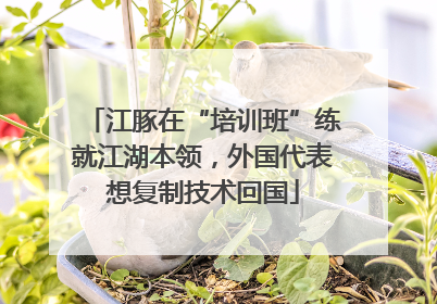 江豚在“培训班”练就江湖本领，外国代表想复制技术回国
