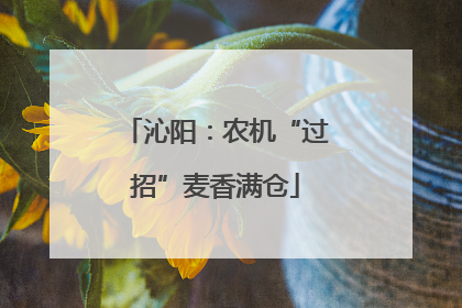沁阳：农机“过招”麦香满仓