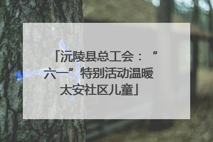 沅陵县总工会：“六一”特别活动温暖太安社区儿童