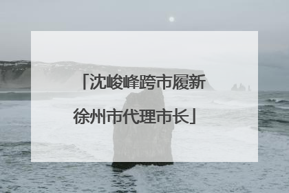 沈峻峰跨市履新徐州市代理市长