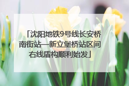 沈阳地铁9号线长安桥南街站—新立堡桥站区间右线盾构顺利始发