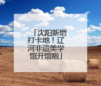 沈阳新增打卡地！辽河非遗美学馆开馆啦