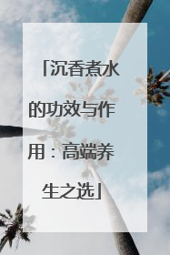 沉香煮水的功效与作用：高端养生之选