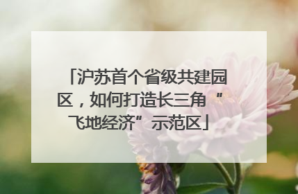 沪苏首个省级共建园区，如何打造长三角“飞地经济”示范区