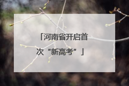 河南省开启首次“新高考”