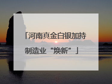 河南真金白银加持制造业“焕新”