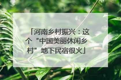 河南乡村振兴：这个“中国美丽休闲乡村”地下民宿很火