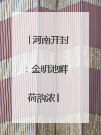 河南开封：金明池畔荷韵浓