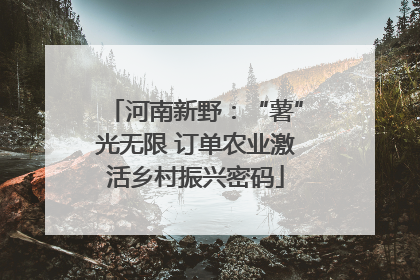河南新野：“薯”光无限 订单农业激活乡村振兴密码