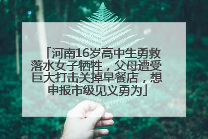 河南16岁高中生勇救落水女子牺牲，父母遭受巨大打击关掉早餐店，想申报市级见义勇为