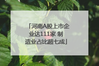 河南A股上市企业达111家 制造业占比超七成