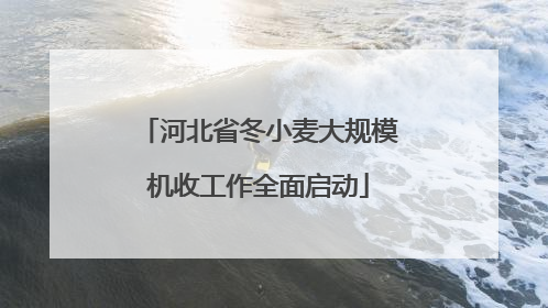 河北省冬小麦大规模机收工作全面启动