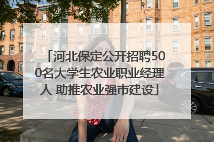 河北保定公开招聘500名大学生农业职业经理人 助推农业强市建设