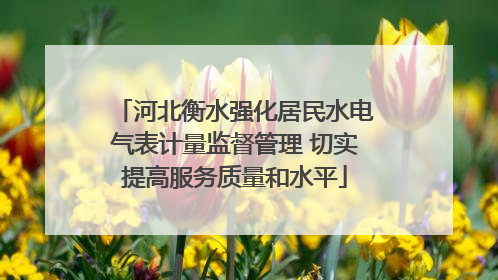 河北衡水强化居民水电气表计量监督管理 切实提高服务质量和水平