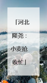 河北隆尧：小麦抢收忙