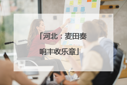 河北：麦田奏响丰收乐章