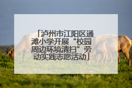 泸州市江阳区通滩小学开展“校园周边环境清扫”劳动实践志愿活动