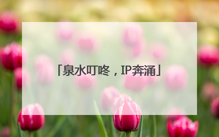 泉水叮咚，IP奔涌