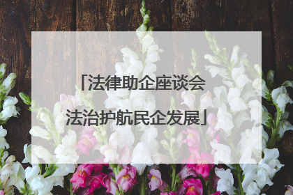 法律助企座谈会 法治护航民企发展