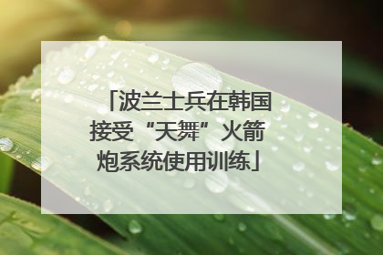 波兰士兵在韩国接受“天舞”火箭炮系统使用训练