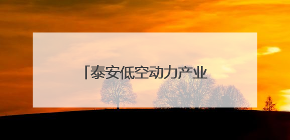 泰安低空动力产业园一期建设全速推进 文庙街道聚力攻坚抢抓“进度条”