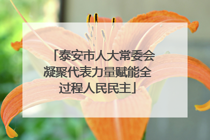 泰安市人大常委会凝聚代表力量赋能全过程人民民主