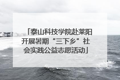 泰山科技学院赴莱阳开展暑期“三下乡”社会实践公益志愿活动