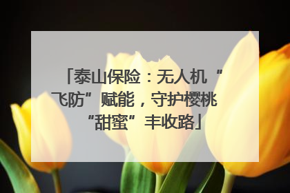 泰山保险：无人机“飞防”赋能，守护樱桃“甜蜜”丰收路