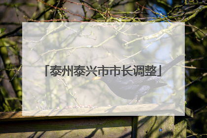 泰州泰兴市市长调整