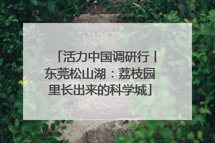 活力中国调研行丨东莞松山湖：荔枝园里长出来的科学城