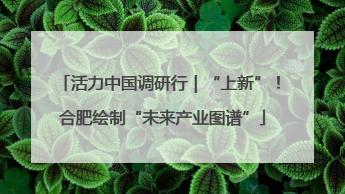 活力中国调研行｜“上新”！合肥绘制“未来产业图谱”