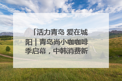 活力青岛 爱在城阳｜青岛尚小咖咖啡季启幕，中韩消费新场景点燃夏日热情