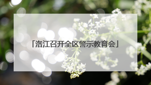 洛江召开全区警示教育会