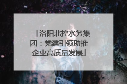 洛阳北控水务集团：党建引领助推企业高质量发展
