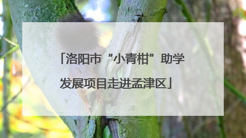 洛阳市“小青柑”助学发展项目走进孟津区