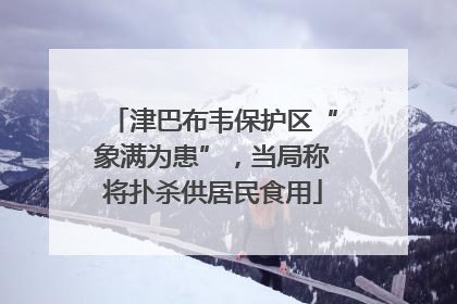 津巴布韦保护区“象满为患”，当局称将扑杀供居民食用