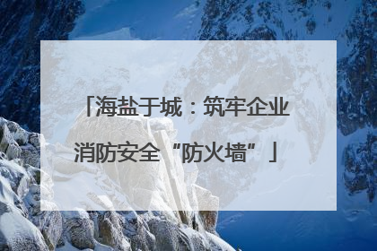 海盐于城：筑牢企业消防安全“防火墙”
