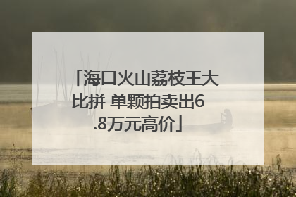 海口火山荔枝王大比拼 单颗拍卖出6.8万元高价