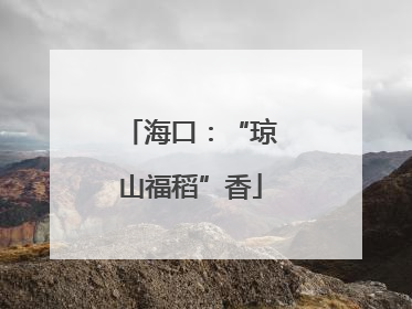 海口：“琼山福稻”香