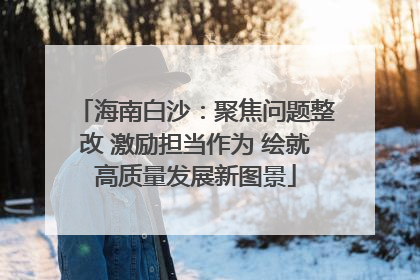 海南白沙：聚焦问题整改 激励担当作为 绘就高质量发展新图景